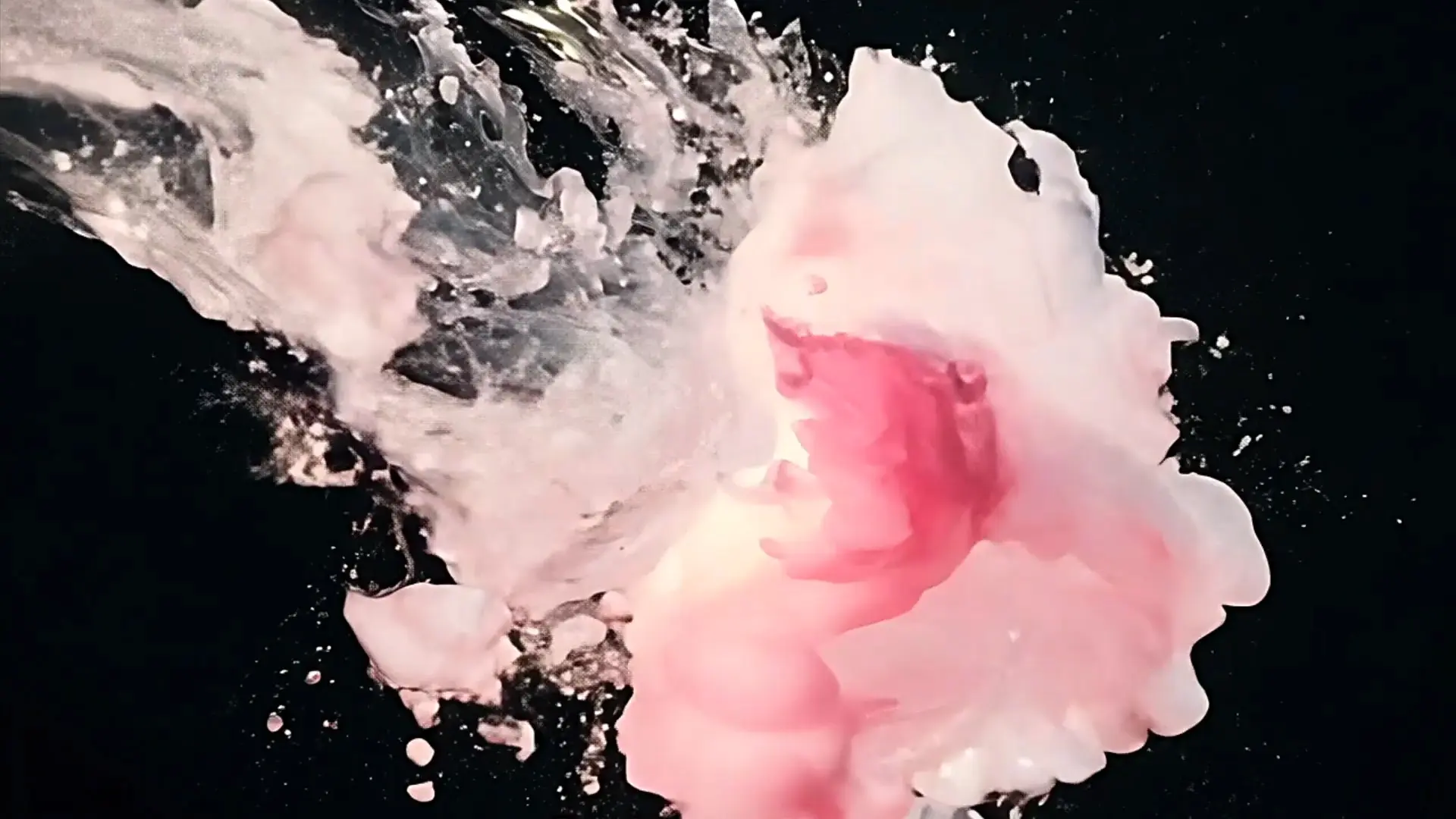 Elegant Pink Particle Transition for Beauty Product Launches